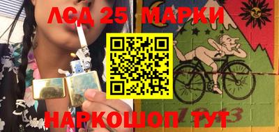 прущие грибы Кандалакша