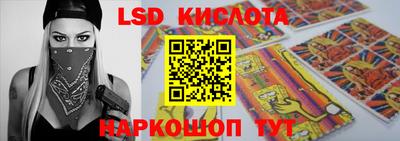 прущие грибы Кандалакша