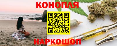 прущие грибы Кандалакша