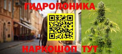 СК Канаш